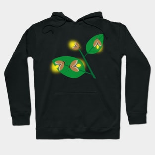 Fireflies Light At Midnight Hoodie